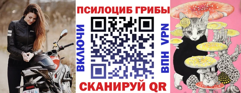 Псилоцибиновые грибы Psilocybine cubensis  Каменка 