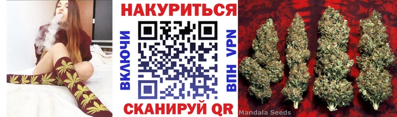 Марихуана гибрид  Каменка 